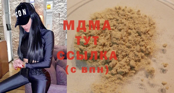 прущие грибы Гатчина