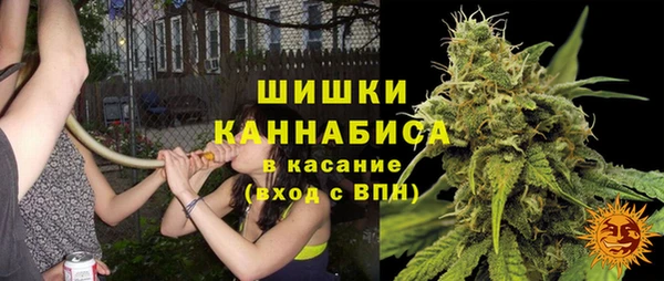 шишки Галич