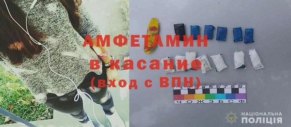 прущие грибы Гатчина