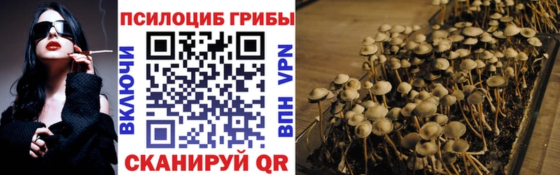 как найти закладки  Сычёвка  Галлюциногенные грибы Magic Shrooms 